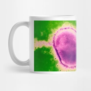 Neisseria meningitidis bacterium (B220/0582) Mug